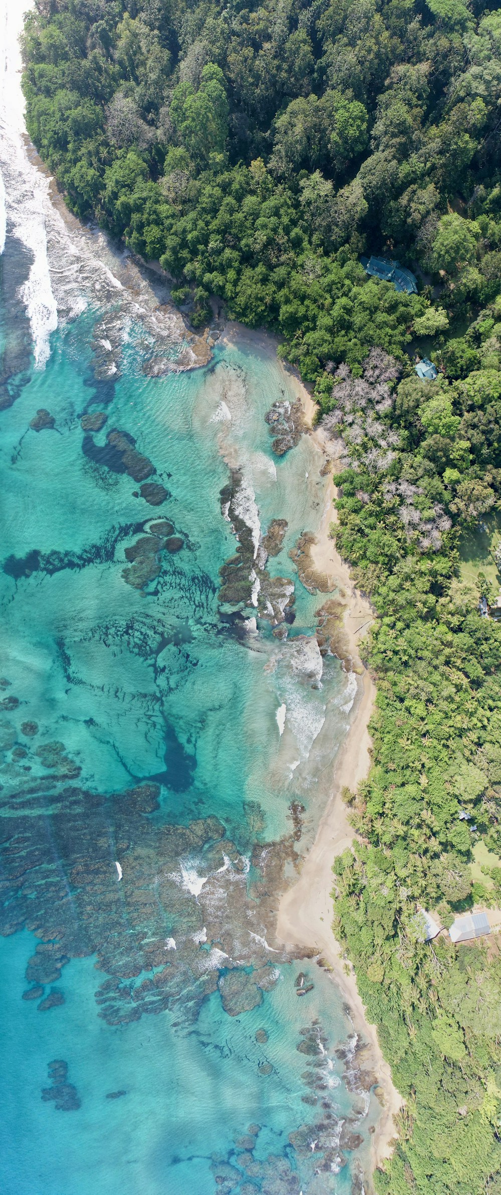 Lush Costa Rican forest meeting a rocky Pacific beach